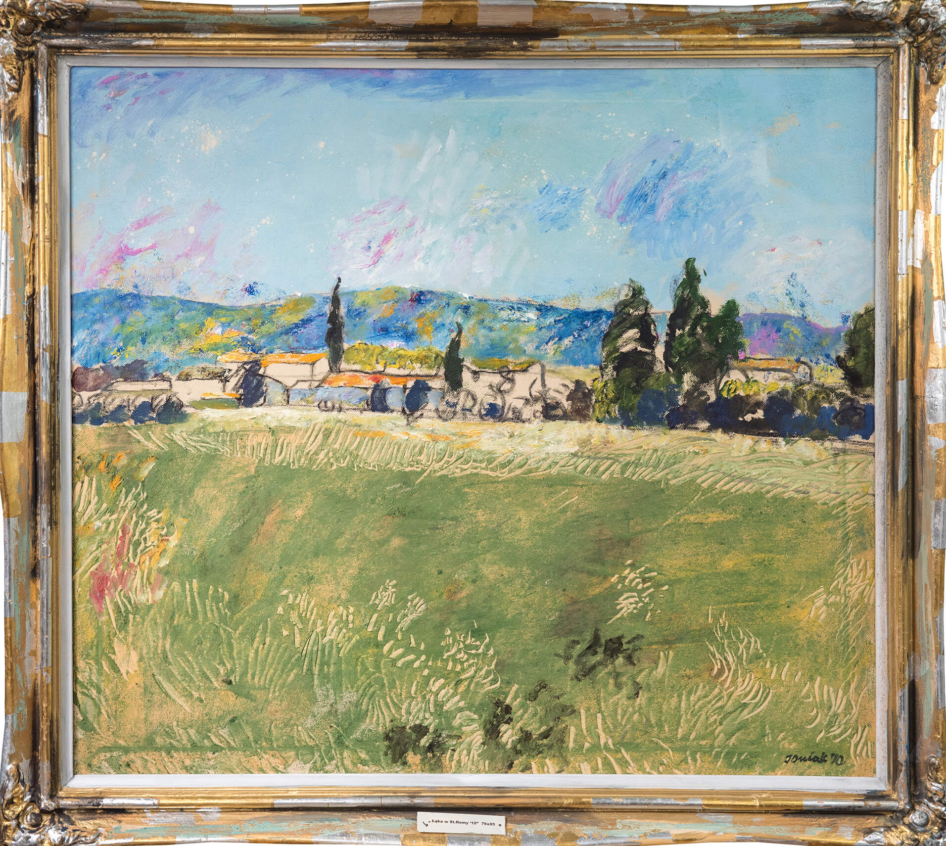Łąka w St. Remy ’10, 76×85